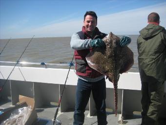 17 lb 6 oz Thornback Ray by John Priestly