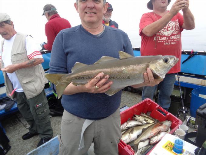 6 lb 4 oz Pollock by one of many caught