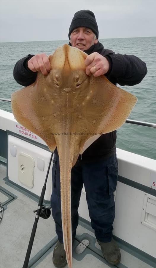 18 lb Blonde Ray by Michael
