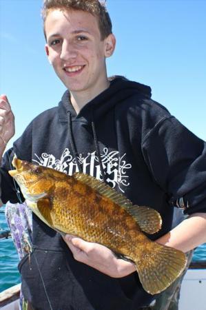 2 lb Ballan Wrasse by Richard