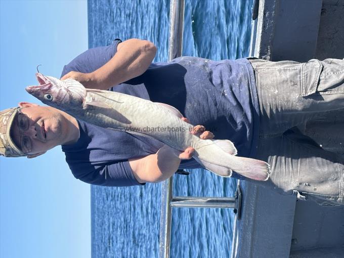 7 lb Ling by Unknown