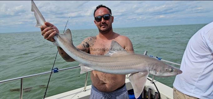 11 lb Smooth-hound by Tom