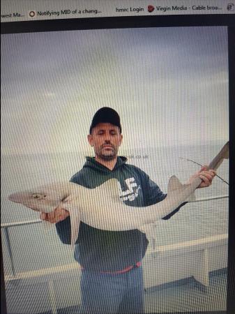 18 lb 8 oz Smooth-hound (Common) by Mark snooks