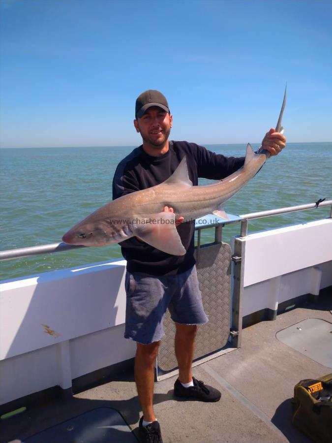 19 lb Smooth-hound (Common) by Unknown