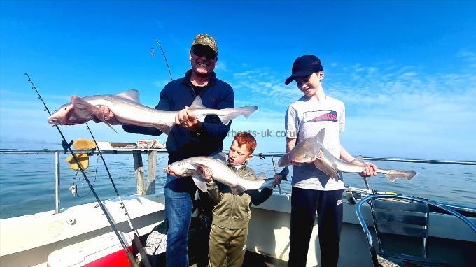 12 lb Starry Smooth-hound by Mark & boys