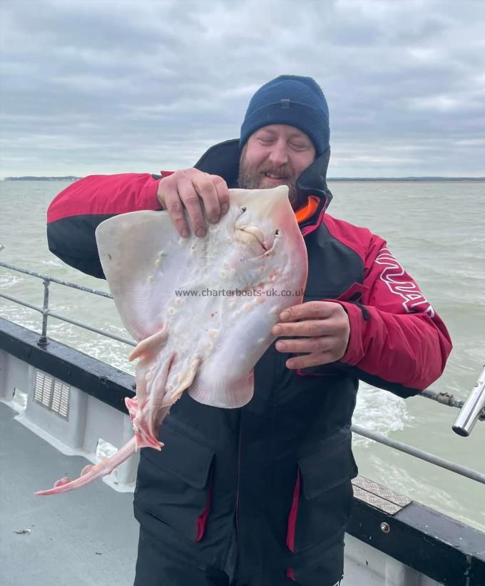 5 lb Thornback Ray by Unknown