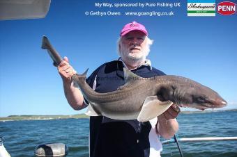 16 lb Starry Smooth-hound by David