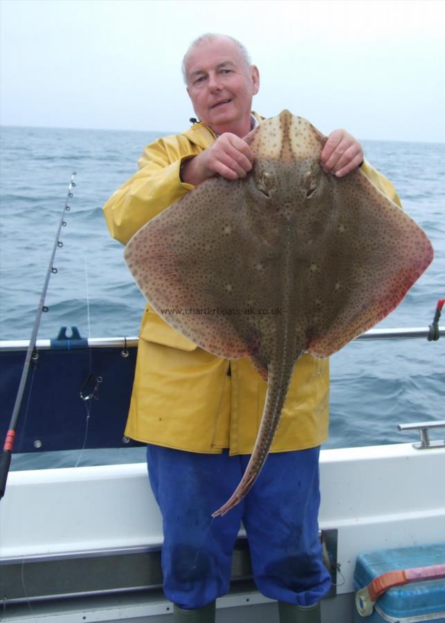 17 lb Blonde Ray by David Metcalf