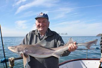 10 lb Starry Smooth-hound by Colin