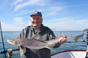 10 lb Starry Smooth-hound by Colin