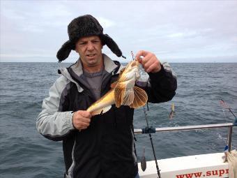 2 lb Tub Gurnard by Stuart