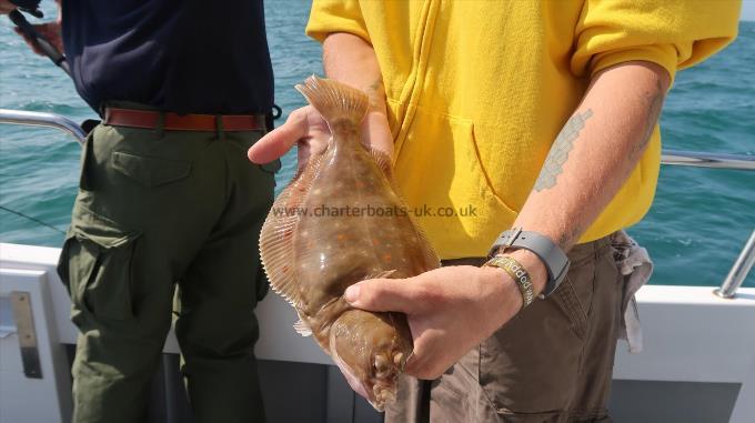 2 lb Plaice by Skipper Stuart