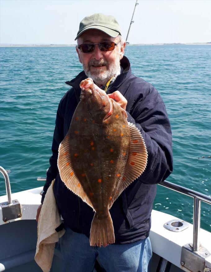 3 lb 8 oz Plaice by Unknown