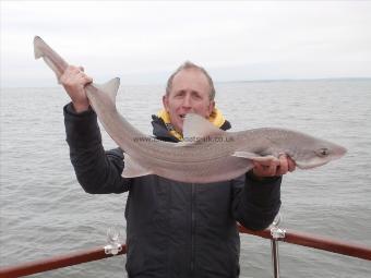 13 lb 6 oz Starry Smooth-hound by Lyndon Starkey