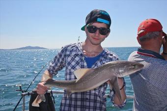 11 lb Starry Smooth-hound by Rob