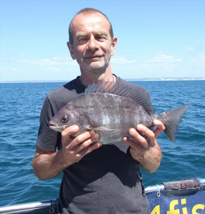 3 lb 5 oz Black Sea Bream by Rick Hawkins