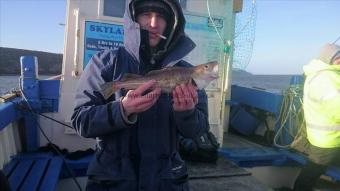 1 lb 8 oz Cod by Unknown