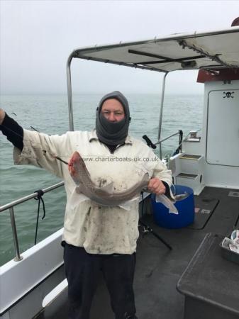 7 lb 10 oz Smooth-hound (Common) by Lol