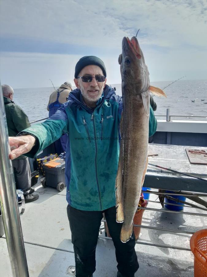 11 lb 8 oz Ling by david