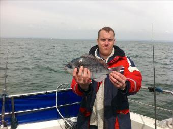 2 lb Black Sea Bream by LEON