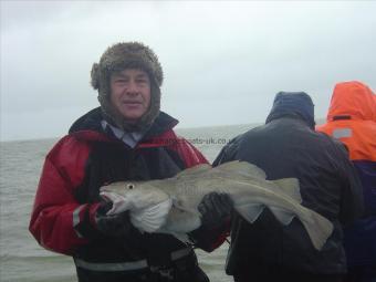 10 lb 8 oz Cod by Jon wesley