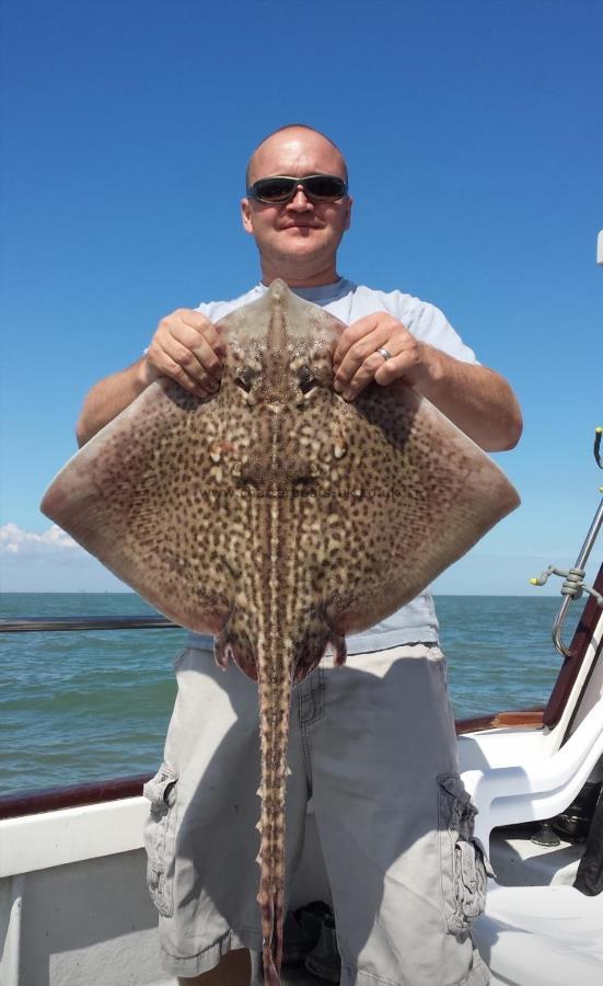 11 lb Thornback Ray by Andy