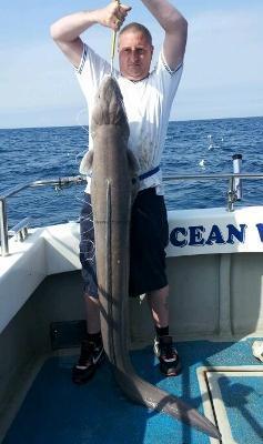 60 lb Conger Eel by Jamie Hancock