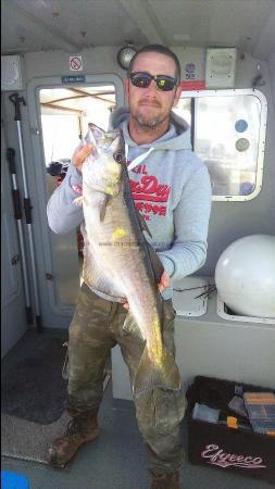 8 lb 11 oz Pollock by chris