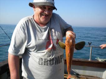 2 lb 8 oz Tub Gurnard by Grumpy