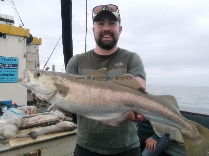 7 lb Pollock by Unknown