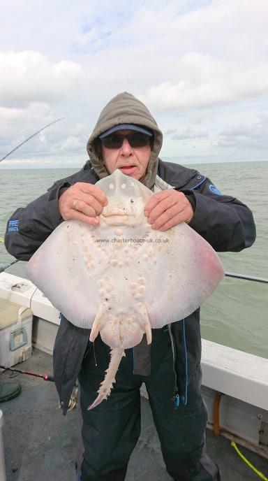 8 lb Thornback Ray by Unknown