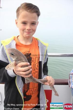 2 lb Lesser Spotted Dogfish by Ethan