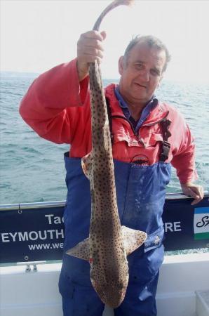 12 lb Bull Huss by Steve Pine