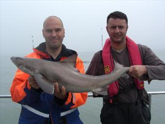 17 lb 2 oz Spurdog by unknown