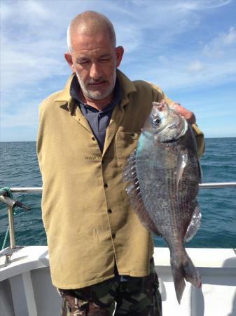 3 lb 14 oz Black Sea Bream by Mick