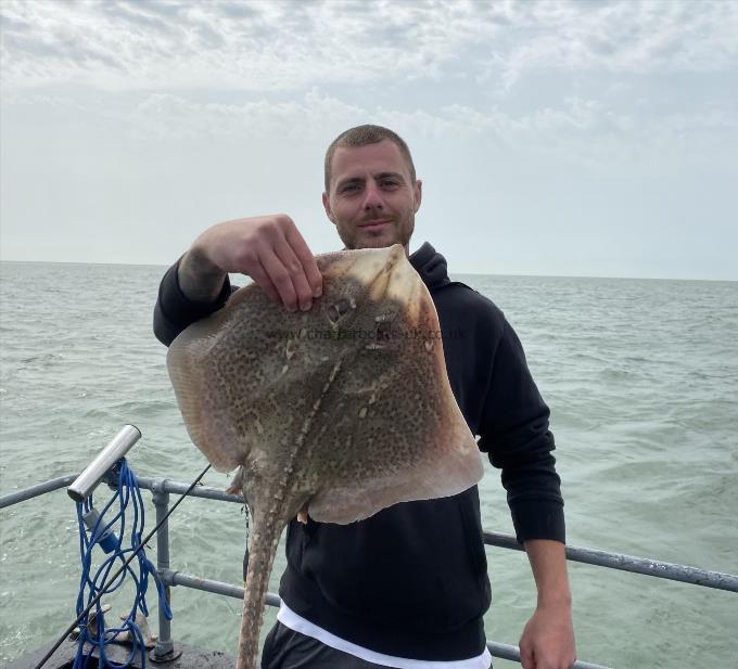 7 lb Thornback Ray by Unknown