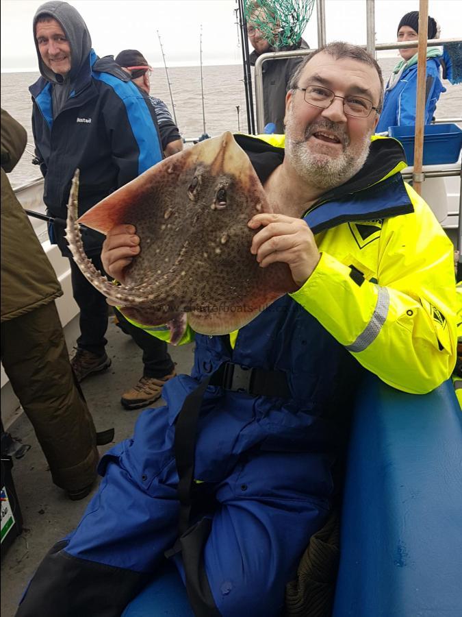 4 lb Thornback Ray by John Currie