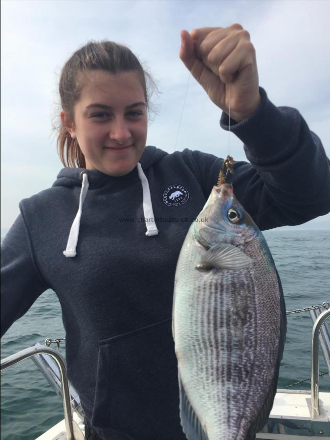 2 lb 4 oz Black Sea Bream by Young Lady