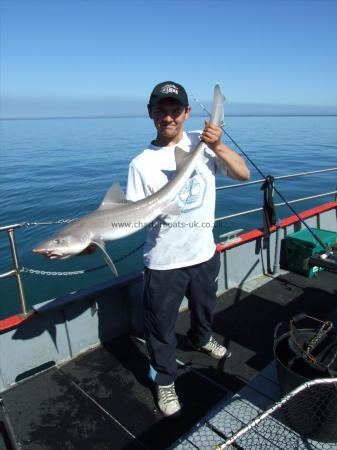 16 lb 2 oz Smooth-hound (Common) by Unknown