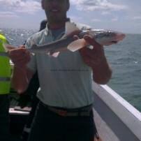 3 lb Smooth-hound by Craig