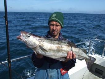 9 lb Pollock by Nigel