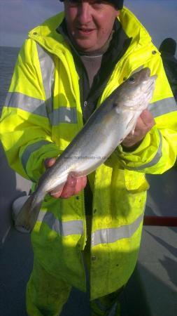 2 lb 9 oz Whiting by big john