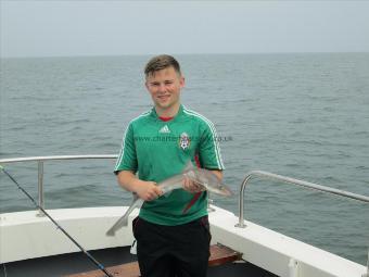 5 lb 6 oz Starry Smooth-hound by Unknown