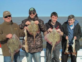 5 lb Thornback Ray by 16th May Trip