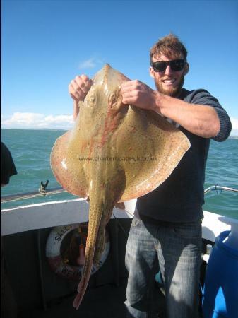 18 lb Blonde Ray by Ross