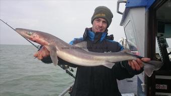 14 lb 6 oz Spurdog by Stu from Ramsgate