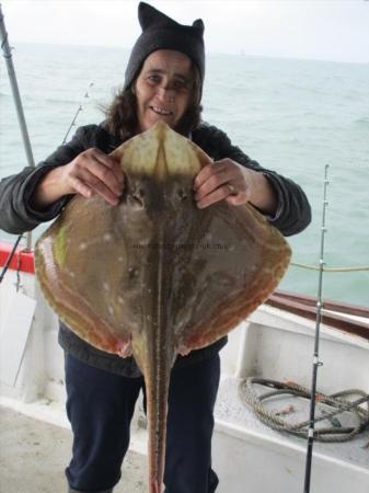 8 lb Small-Eyed Ray by Pen Duke