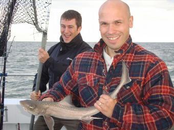 4 lb Starry Smooth-hound by Matt