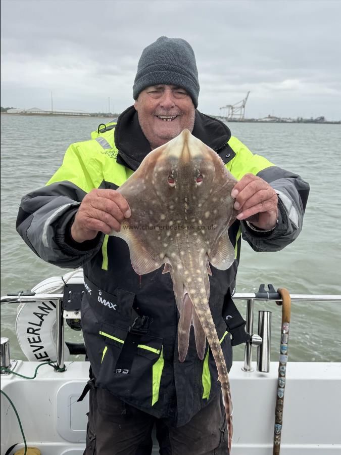 4 lb Thornback Ray by Paul