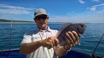 2 lb Black Sea Bream by Stephen Wake